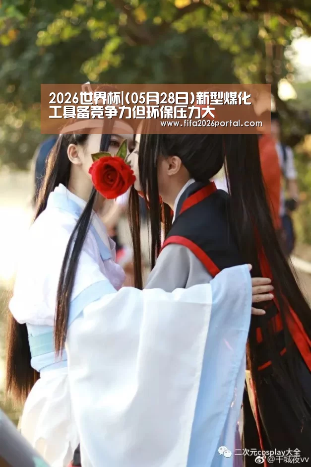 2026世界杯|(05月28日)新型煤化工具备竞争力但环保压力大(图1) 2026世界杯