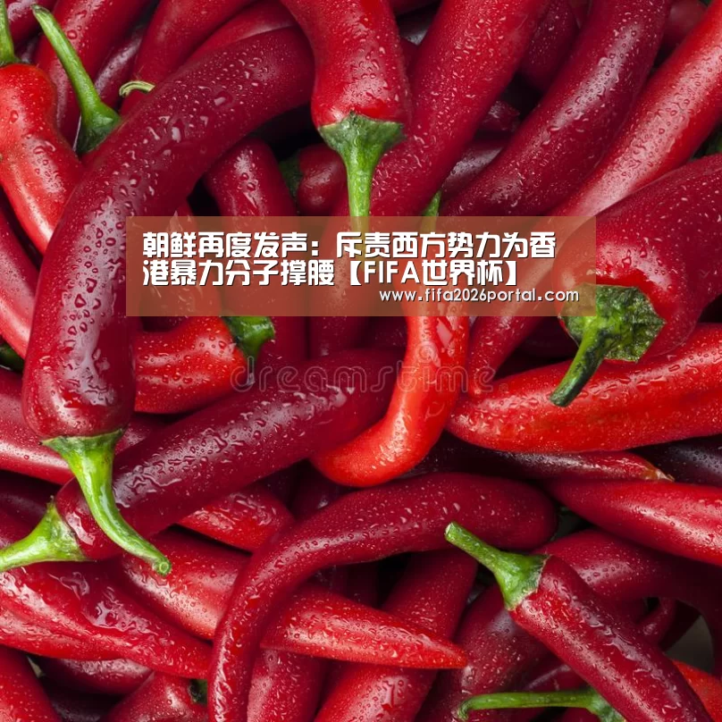 朝鲜再度发声:斥责西方势力为香港暴力分子撑腰【FIFA世界杯】(图2) 2026世界杯