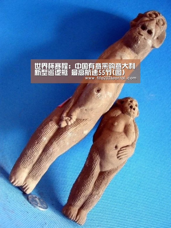世界杯赛程:中国有意采购意大利新型巡逻艇 最高航速55节(图)(图1) 2026世界杯