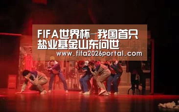 FIFA世界杯-我国首只盐业基金山东问世(图3) 世界杯赛程