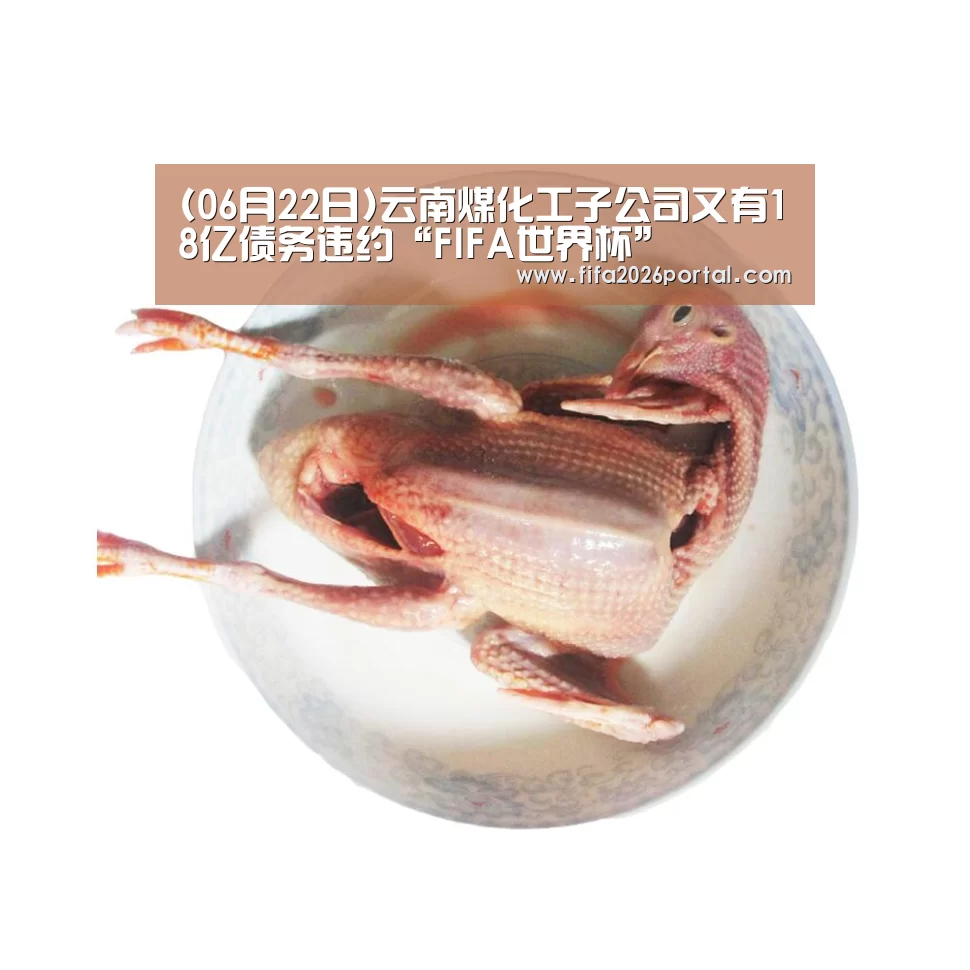 (06月22日)云南煤化工子公司又有18亿债务违约“FIFA世界杯”(图1) 世界杯赛程