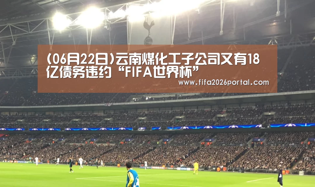 (06月22日)云南煤化工子公司又有18亿债务违约“FIFA世界杯”(图2) 2026世界杯