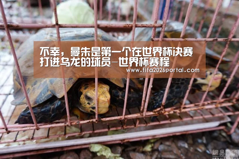 不幸,曼朱是第一个在世界杯决赛打进乌龙的球员-世界杯赛程(图3) 世界杯赛程