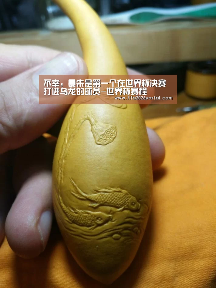 不幸,曼朱是第一个在世界杯决赛打进乌龙的球员-世界杯赛程(图2) 2026世界杯