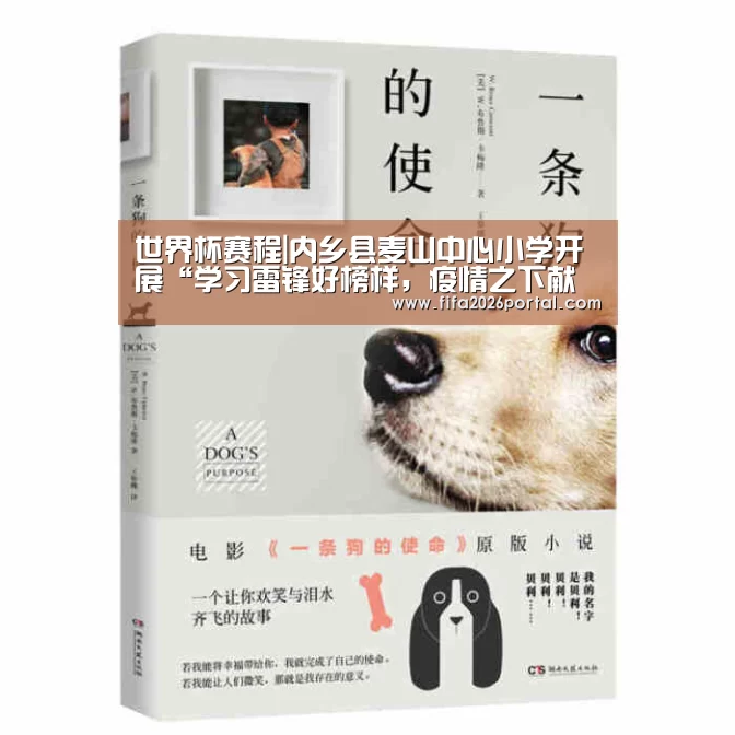 世界杯赛程