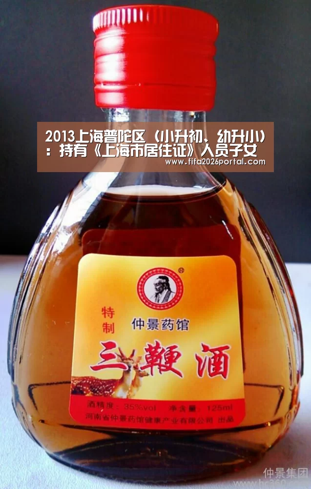 2013上海普陀区(小升初、幼升小):持有《上海市居住证》人员子女的入学条件及程序【FIFA世界杯】(图3) 2026世界杯