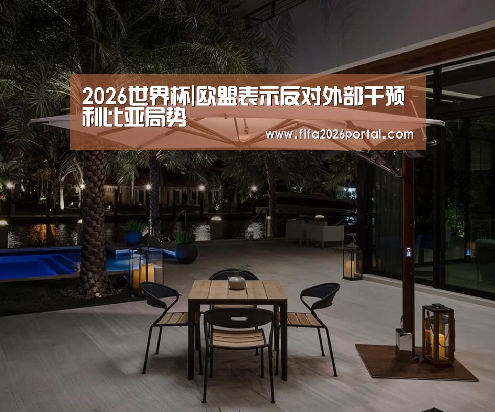 2026世界杯|欧盟表示反对外部干预利比亚局势(图2) 世界杯赛程