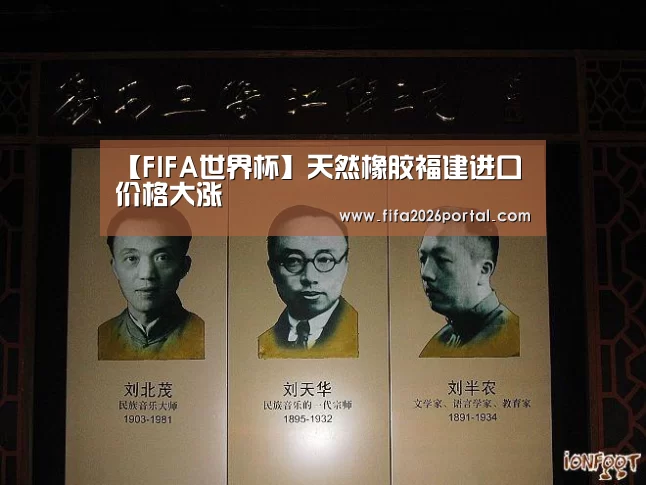 【FIFA世界杯】天然橡胶福建进口价格大涨(图2) FIFA世界杯