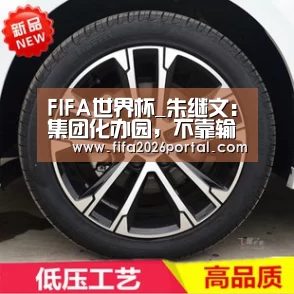 FIFA世界杯_朱继文:集团化办园,不靠输血靠造血(图1) 球队资讯