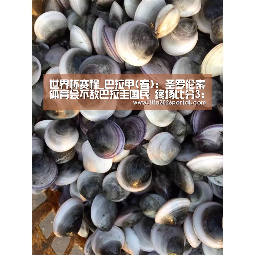 世界杯赛程_巴拉甲(春): 圣罗伦素体育会不敌巴拉圭国民 终场比分3:1(图1) 2026世界杯